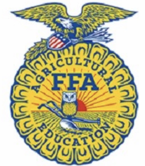 FFA SECTIONAL SPEECH CONTEST