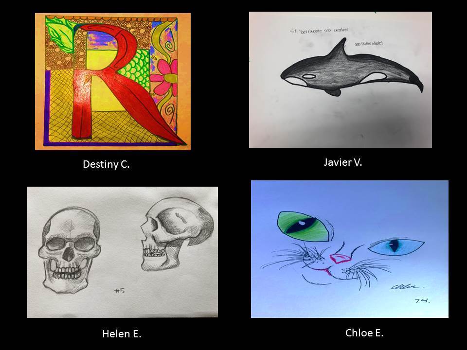 Student Choice Drawings