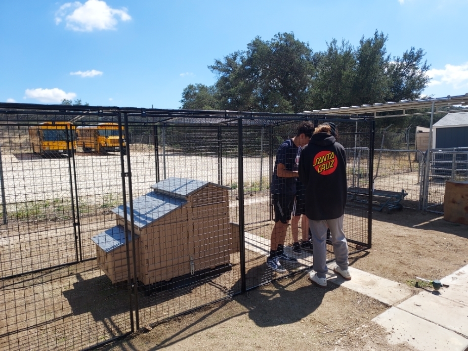 David, Randall, Omar and Angel finishing off our new Chicken Coop!