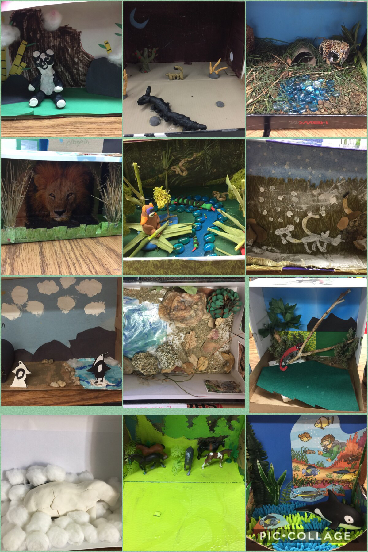 1st/2nd grade Animal Diorama Projects | Warner Unified School District